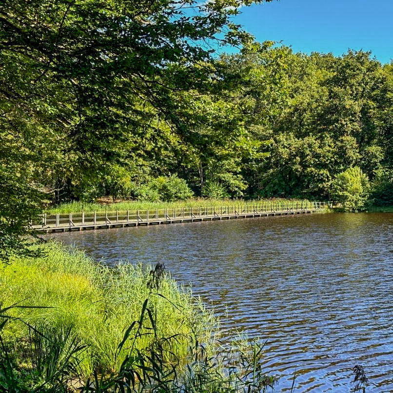 la passerelle de rive a rive du camping en bord d'étang en bourgogne